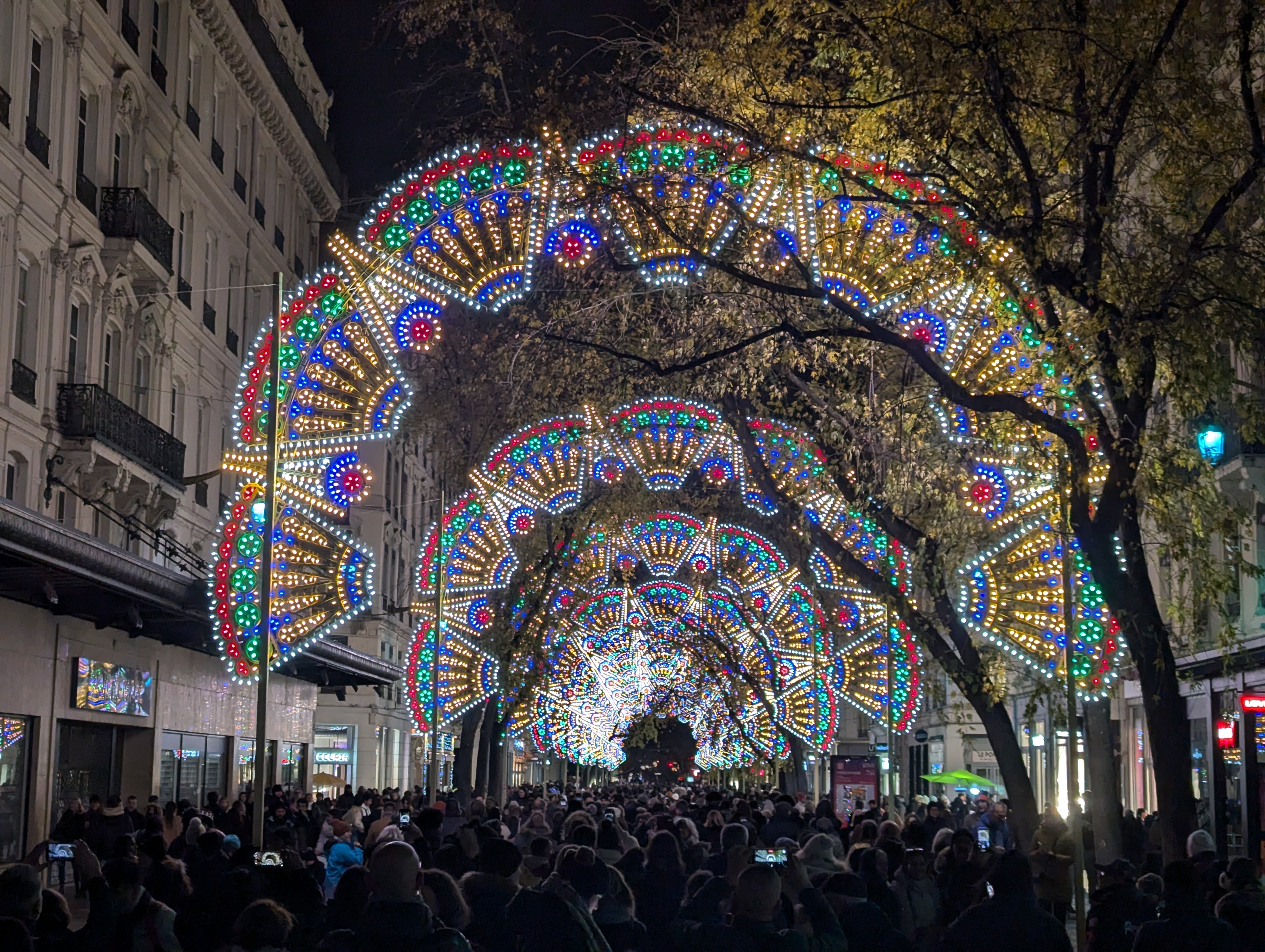 Festival of lights, Lyon 2024.