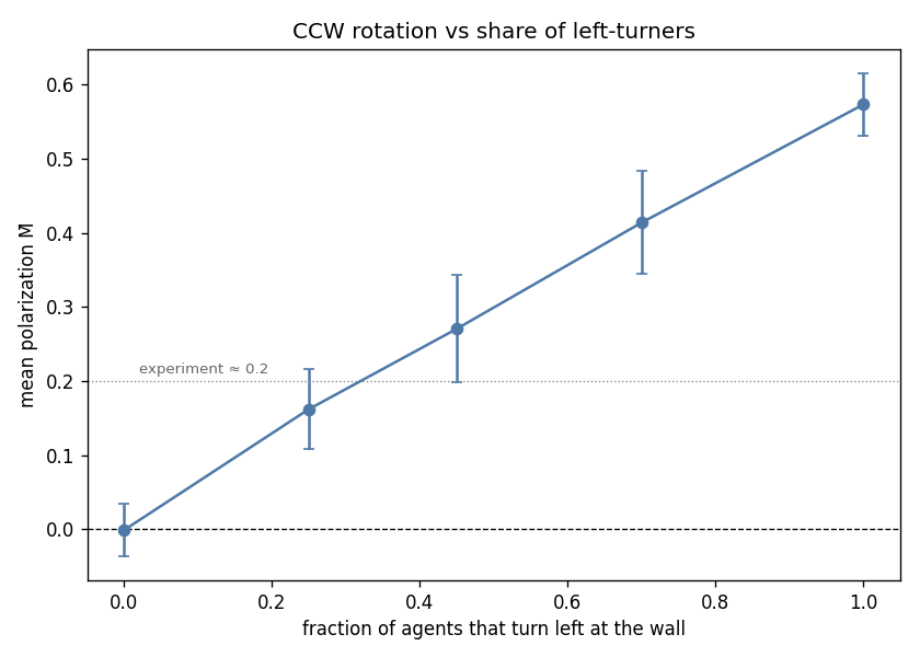 Mean polarization against the share of left-turners. Zero with no bias, rising with the fraction; about a third matches the experiment.