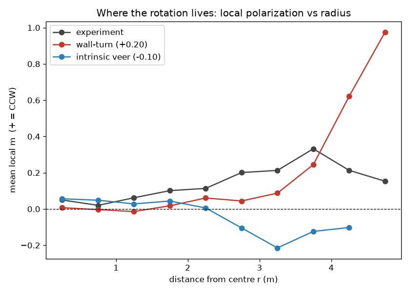 Local rotation against distance from the center, for the experiment and the two models. The experiment is positive throughout and peaks in the outer-middle; the wall-turn model spikes at the rim; the intrinsic veer goes negative.