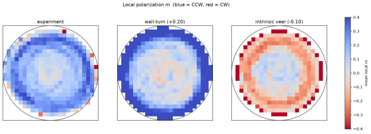 The same three as spatial maps (blue counterclockwise, red clockwise). The experiment is mostly blue across the disk; the wall-turn model is a blue ring; the intrinsic veer is a red band.