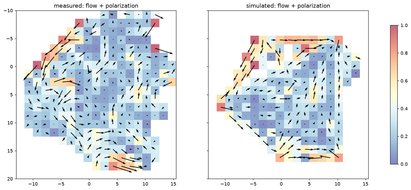 Where the model holds: direction of flow, measured (left) and simulated (right). Color shows how one-directional each cell is; blue means people cross it in all directions.